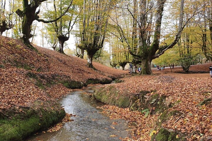 Biscay Villages, Forests and Valleys: Private Full-Day Tour from Bilbao photo 3