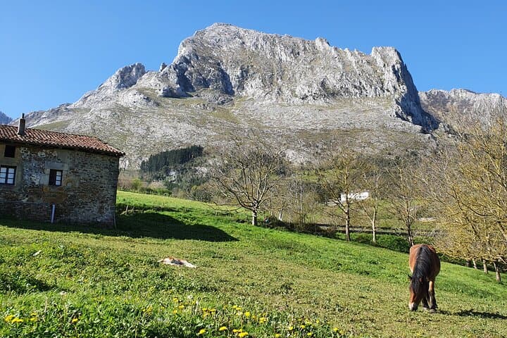 Biscay Villages, Forests and Valleys: Private Full-Day Tour from Bilbao photo 4