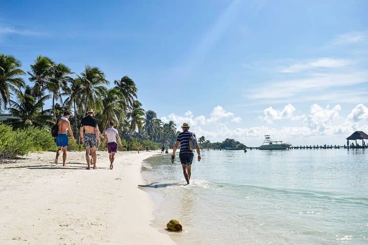 Isla Contoy & Isla Mujeres Day Trip from Playa del Carmen — Snorkel Ixlaché Reef and Eco-Reserve