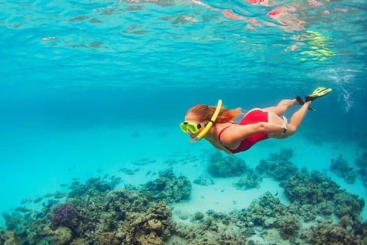 Isla Contoy & Isla Mujeres Day Trip: Snorkel the Mesoamerican Reef and Visit a Protected Bird Sanctuary photo 6