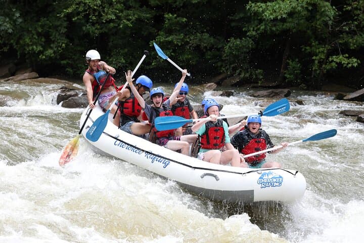 Middle Ocoee River Whitewater Rafting: 5-Mile Class III–IV Adventure photo 3