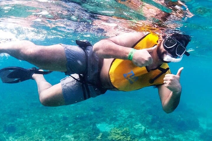 Cancun Snorkel Tour: 3-Spot Reef, Underwater Museum & Shipwreck with Transport photo 2