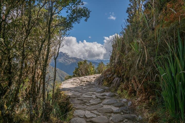 4-Day Inca Trail to Machu Picchu: Guided Trek from Cusco photo 4