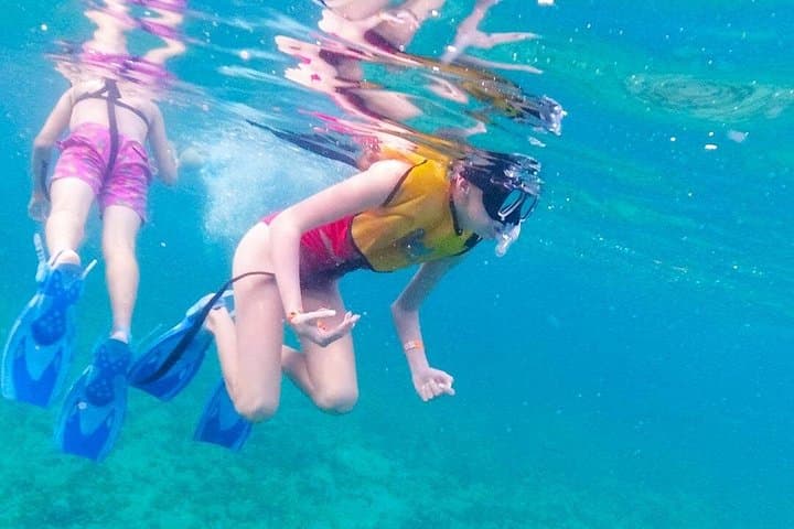 Cancun MUSA Snorkel Tour: Reefs, Shipwrecks & Hotel Pickup