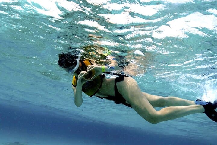 Cancun Snorkel and Parasail Combo: MUSA, Reefs & Aerial Views photo 4
