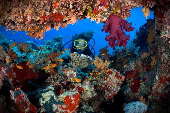 Hurghada Deluxe Yacht: 2 Intro Dives at Red Sea Coral Reefs photo 1