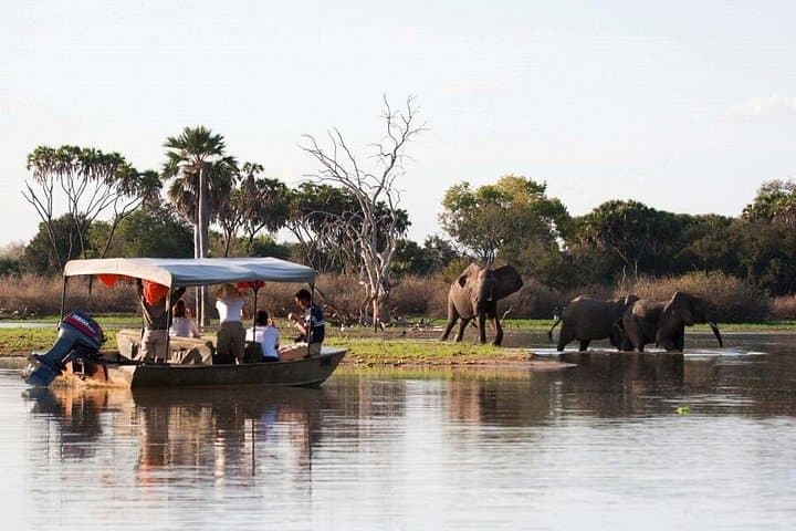3-Day Nyerere (Selous) Safari: Game Drives, Walking Safaris & Rufiji Boat Cruise