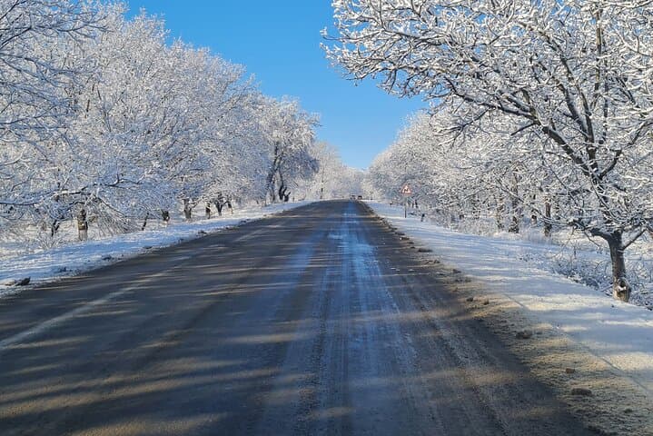 Private Daily Tour From Baku: Gabala, Shahdag & Sheki Highlights photo 2