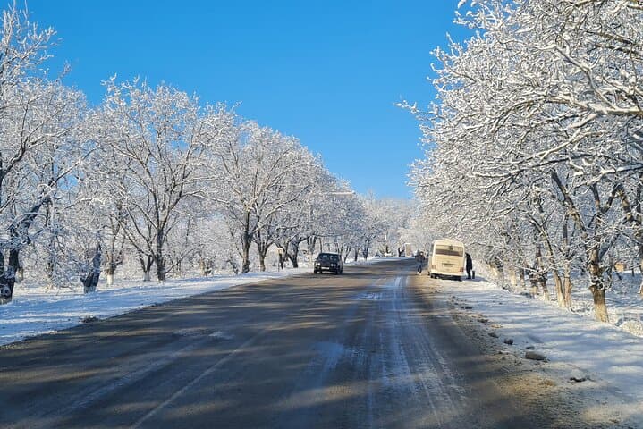 Private Daily Tour From Baku: Gabala, Shahdag & Sheki Highlights photo 4