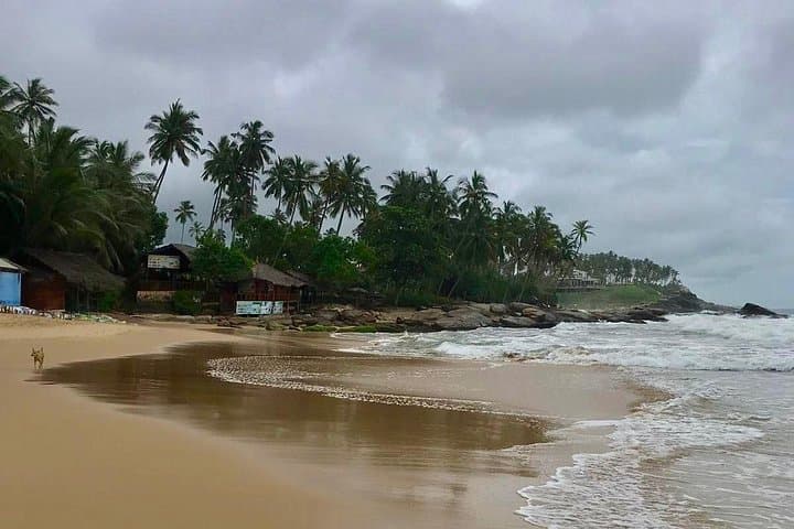 Galle Day Tour from Bentota — Fort, River Safari & Turtle Hatchery photo 3
