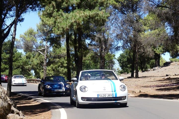 Gran Canaria VW Beetle Convertible Big Mountain Tour — VIP Cabrio Experience photo 3