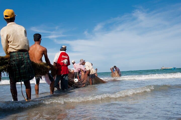 South Coast Beaches and Mirissa Whale Watching: 3-Night Sri Lanka Tour photo 3