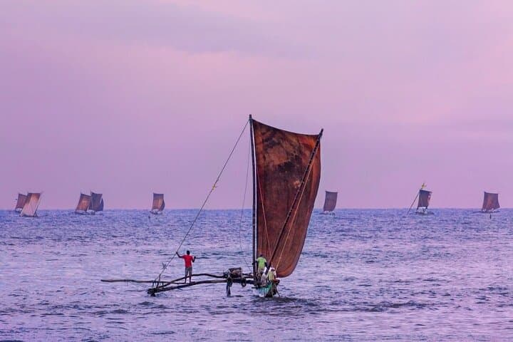 South Coast Beaches and Mirissa Whale Watching: 3-Night Sri Lanka Tour photo 4