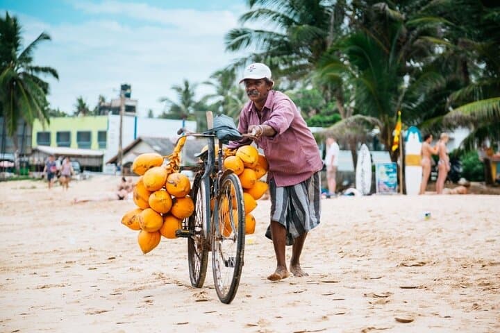 South Coast Beaches and Mirissa Whale Watching: 3-Night Sri Lanka Tour photo 6