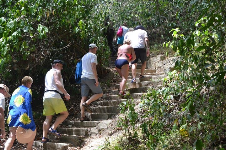 3-Day Shimba Hills Safari from Diani: Sheldrick Falls & Rare Sable Antelope photo 2