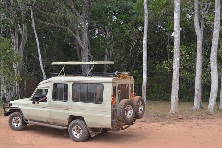3-Day Shimba Hills Safari from Diani: Sheldrick Falls & Rare Sable Antelope photo 4