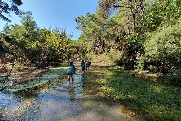 Guided Hike to Epta Piges (Seven Springs) from Archangelos — 12km Olive-Grove Trek photo 1