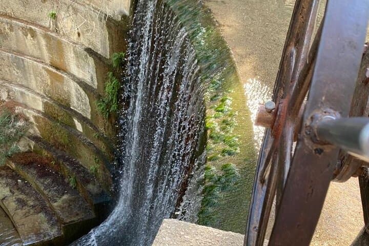 Guided Hike to Epta Piges (Seven Springs) from Archangelos — 12km Olive-Grove Trek photo 4
