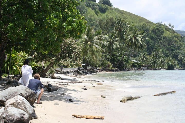 Teahupoo West Coast Tahiti Full-Day Tour: Waterfalls, Black Sand Beaches & Surf photo 3