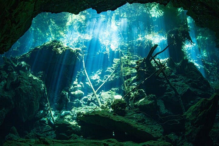 Cenote Kukulkan Scuba Diving Adventure from Playa del Carmen photo 6