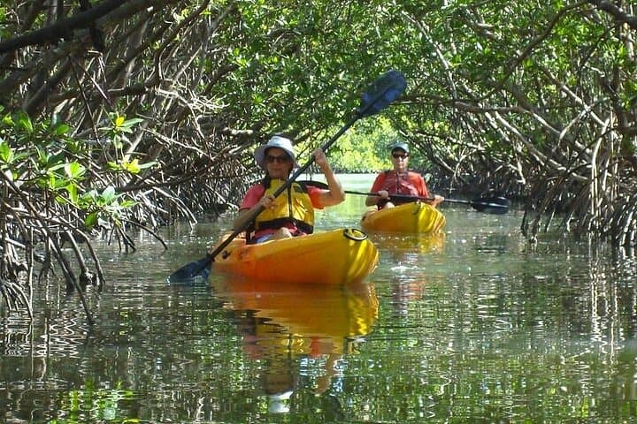Paddle Bunche Beach: Half-Day Kayak & SUP Rentals on Estero Bay
