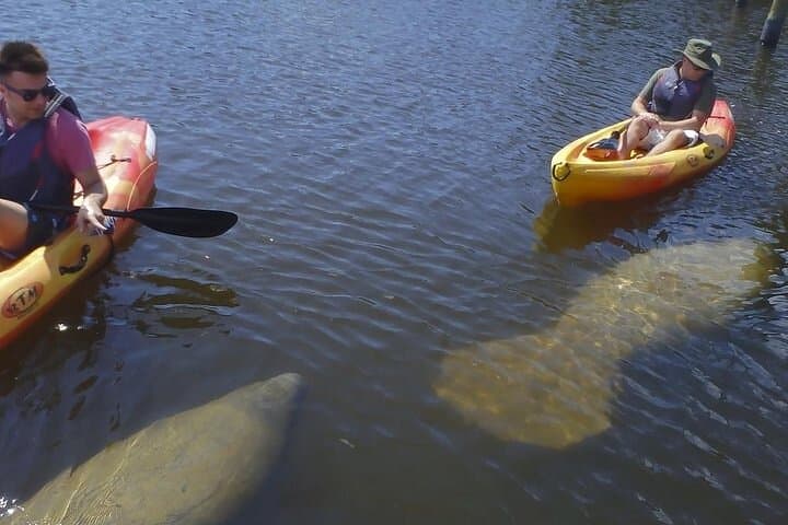 Paddle Bunche Beach: Half-Day Kayak & SUP Rentals on Estero Bay photo 3