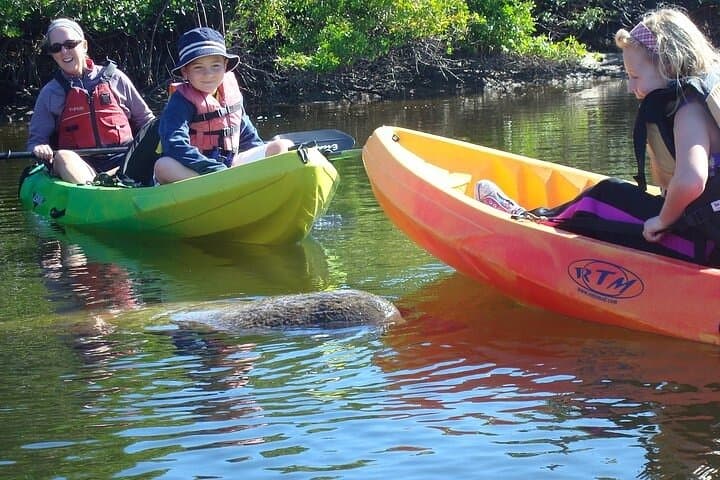 Paddle Bunche Beach: Full-Day Kayak and SUP Rentals on Estero Bay photo 5