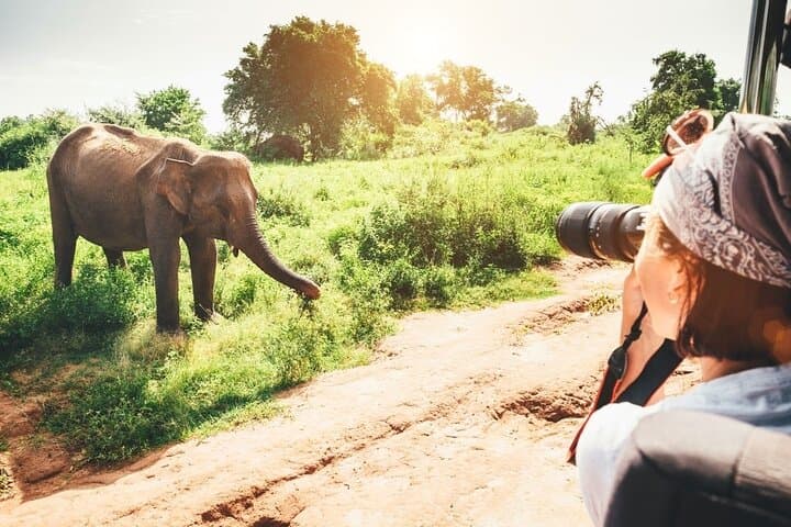 Sri Lanka Village Safari: 7-Night Wilpattu, Mannar & Coastal Wildlife Tour photo 6