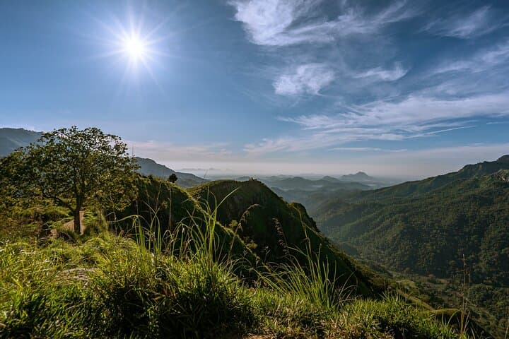Discover Ella: Hike Ella Rock, Little Adam's Peak & See the Nine Arch Bridge