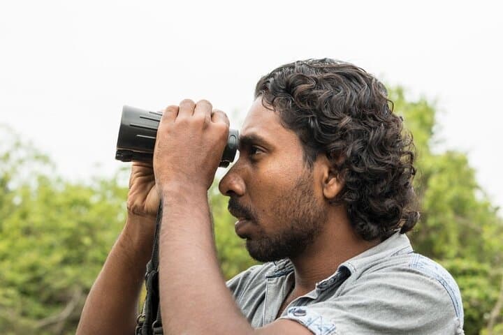Classic 22-Day Sri Lanka Adventure: Wildlife, Tea Country & Coastal Beaches photo 2
