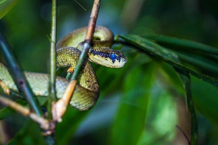 Classic 22-Day Sri Lanka Adventure: Wildlife, Tea Country & Coastal Beaches photo 3