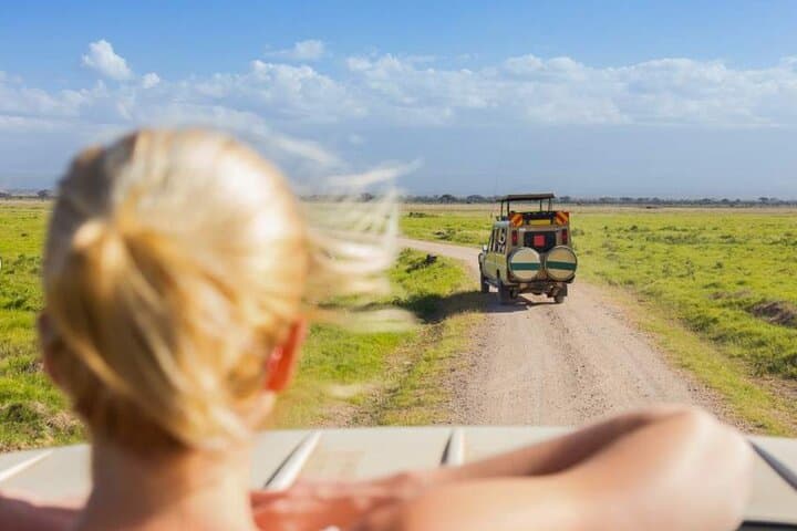 3-Day Classic Guided Serengeti Safari: Big Five Game Drives from Arusha photo 6
