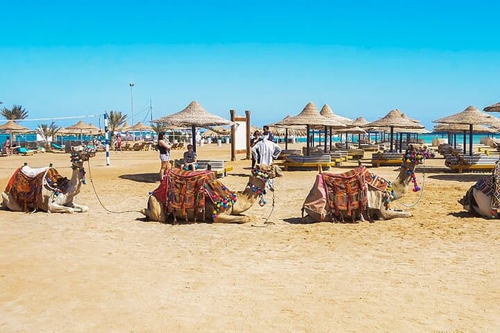 Makadi Bay Camel Ride: Sunset Bedouin Village Tour from Hurghada