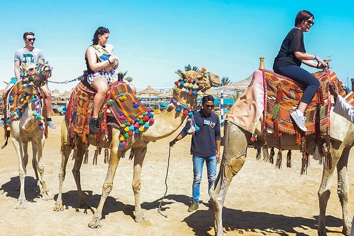 Makadi Bay Camel Ride: Sunset Bedouin Village Tour from Hurghada photo 3