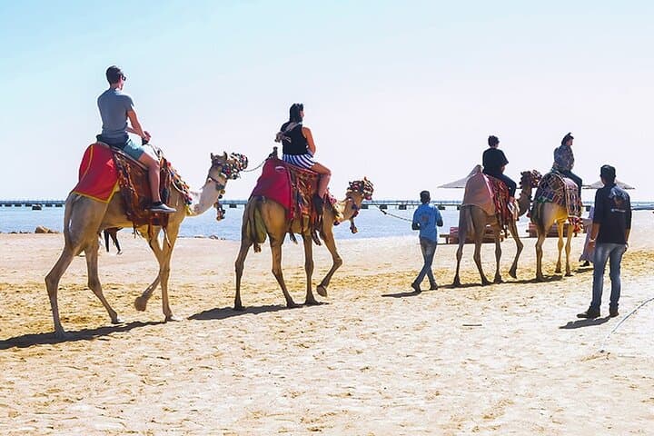 Makadi Bay Camel Ride: Sunset Bedouin Village Tour from Hurghada photo 4