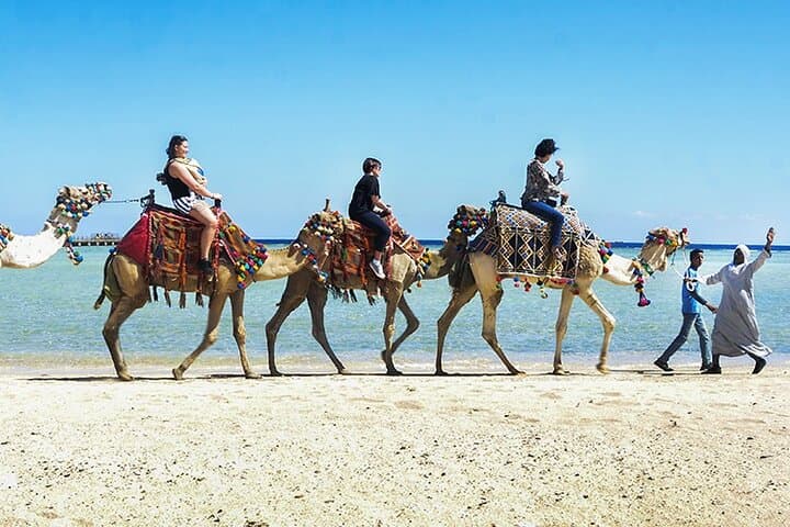 Makadi Bay Camel Ride: Sunset Bedouin Village Tour from Hurghada photo 6