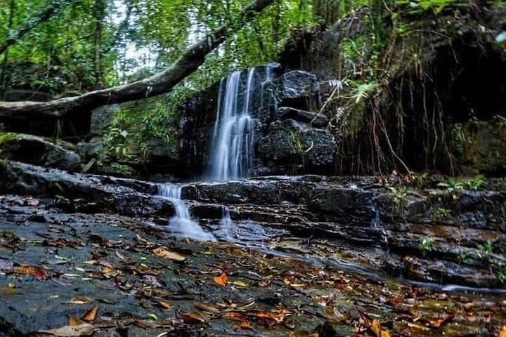 Makandawa Rainforest Old Waterfall Hike — Day Tour with Canoe & Birding photo 2