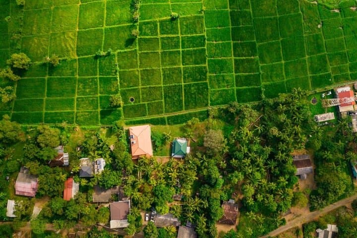 Three Temples Loop and Hiripitiya Spice Trail — One-Day Cultural Walk from Kandy photo 5