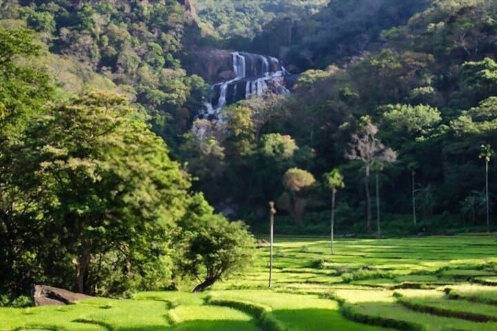 Three Temples Loop and Hiripitiya Spice Trail — One-Day Cultural Walk from Kandy photo 6