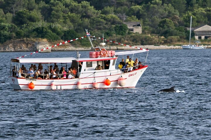 Sunset Dolphin Cruise in Pula with Dinner — Brijuni Boat Trip