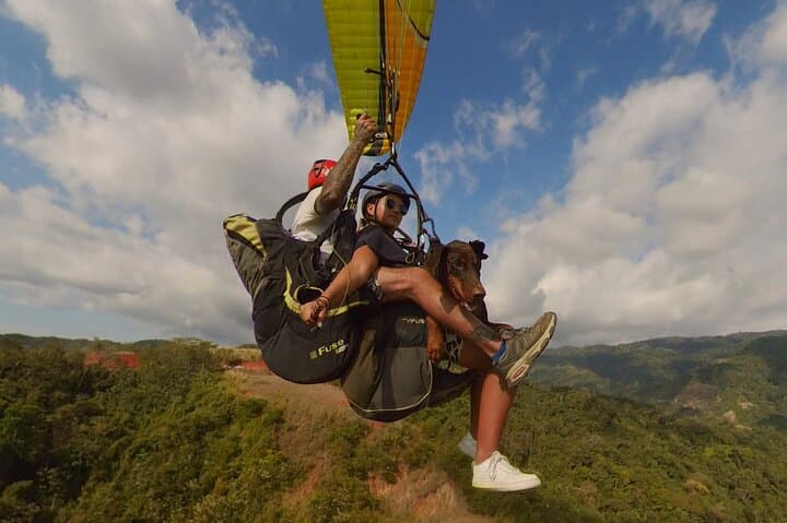 Paraglide Jaco Beach: VIP Family Tandem Flight with Kids & Dogs photo 3