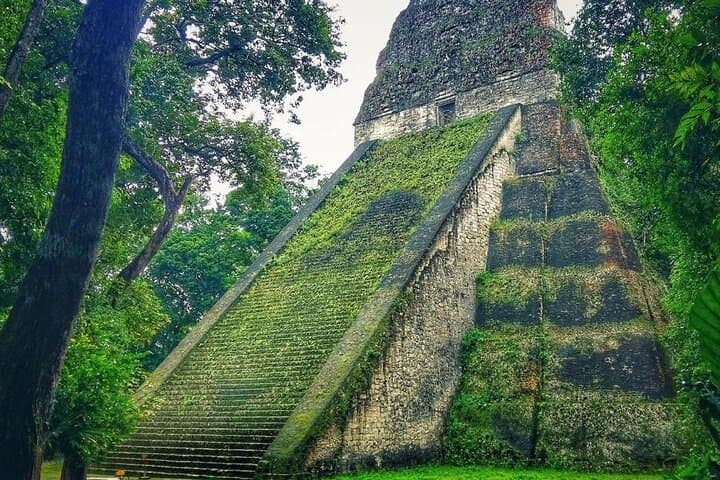 Tikal Day Tour from San Ignacio, Belize — Explore Ancient Maya Temples photo 3