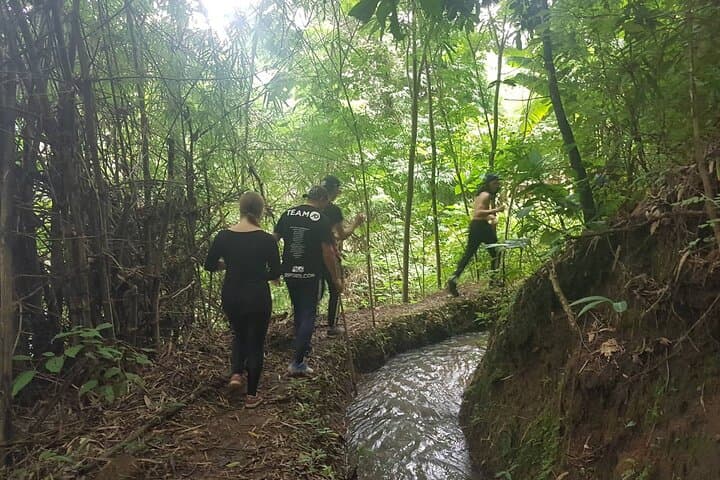 Chiang Mai Day Hike: Hilltribe Village & Waterfall Trek photo 2