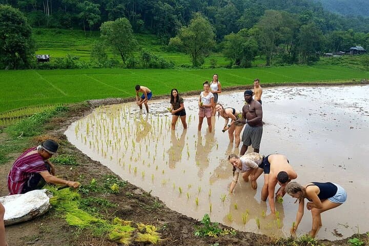 Chiang Mai Day Hike: Hilltribe Village & Waterfall Trek photo 5