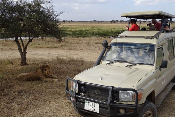 7-Day Private Jeep Safari from Nairobi — Masai Mara, Nakuru, Naivasha & Amboseli