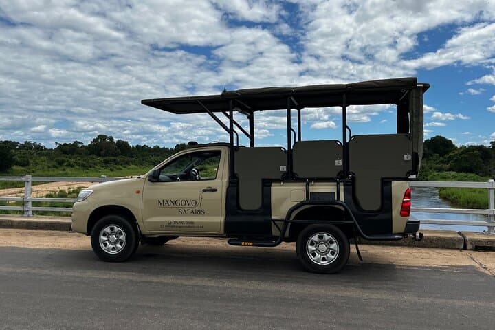 Full-Day Small-Group Safari in Kruger National Park — Big Five Game Drive from Skukuza