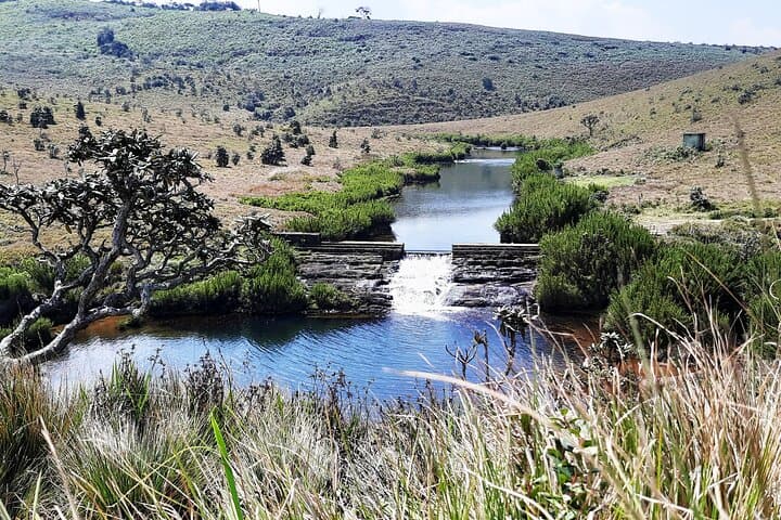 Horton Plains & World’s End: Private Morning Trek from Nuwara Eliya photo 3