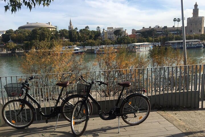 Explore Seville by Bike: Self-Guided Urban Rental for 8 Hours photo 5