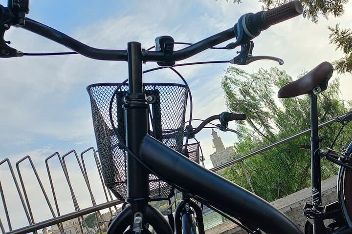 Explore Seville by Bike: Self-Guided Urban Rental for 8 Hours photo 6