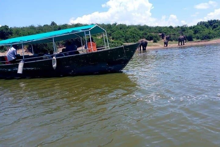 Three-Day Queen Elizabeth National Park Safari — Game Drives, Kazinga Boat & Chimp Trek photo 3